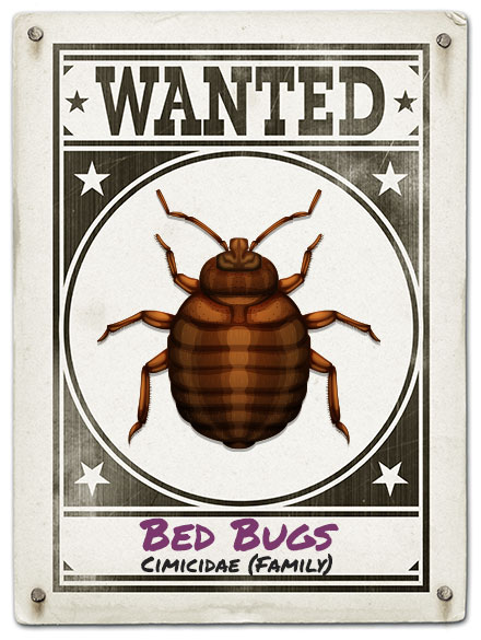 Just Bugs Kills All Bed Bugs, 100% Satisfaction Guaranteed!