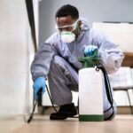 etobicoke-pest-control